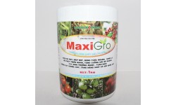 MAXI GRO - HUMIC GEL + CHIẾT XUẤT TẢO BIỂN (SEAWEED)